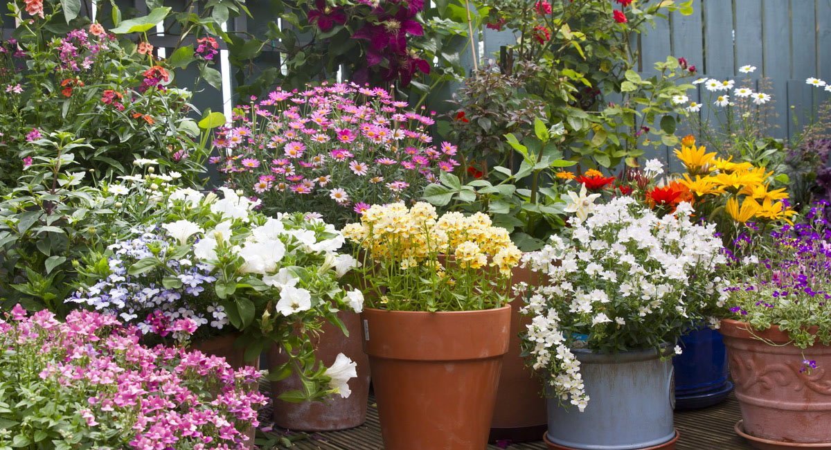 10-things-you-should-know-about-containers-but-probably-dont