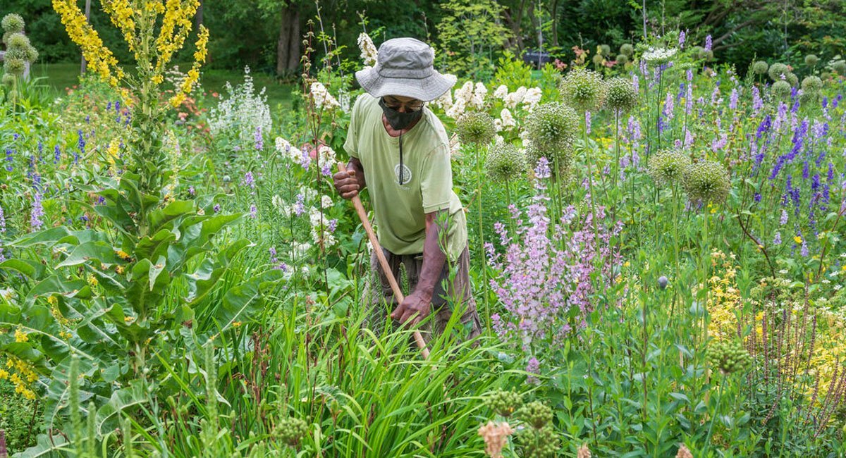 gardening-for-the-greater-good