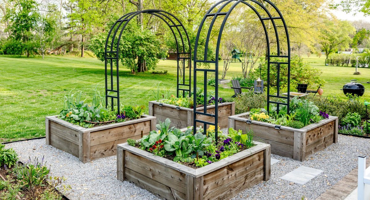 patio-garden-strategy-to-triple-your-gardening-results