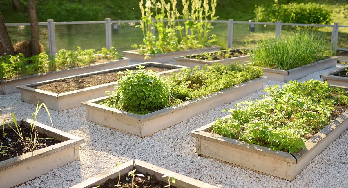 raised-bed-vegetable-gardening-plans