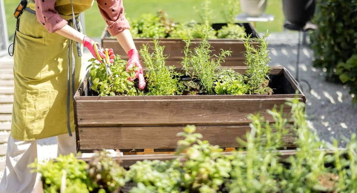 the-advantages-of-raised-beds-gardening