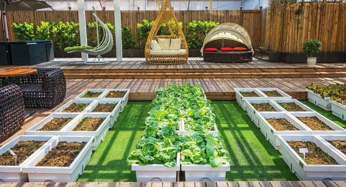 top-10-reasons-for-raised-bed-gardening-and-container-gardening