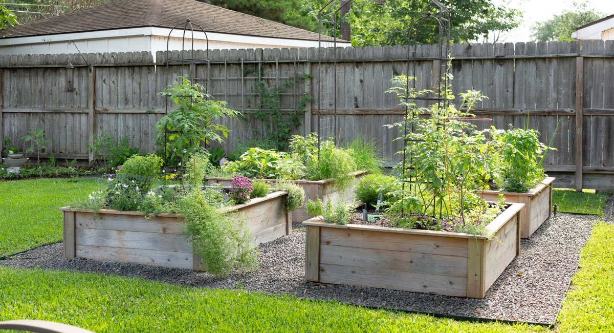 using-raised-beds-in-your-garden-design